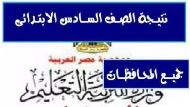 نتيجة الشهادة الابتدائية برقم الجلوس والاسم ورابط الحصول على نتيجة الشهادة الابتدائية 2019