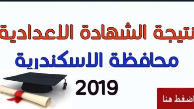 شهادة الصف الثالث الاعدادى 2019 محافظة الاسكندرية