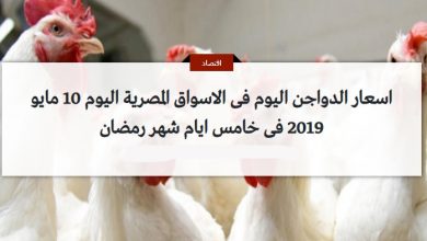 اسعار الدواجن اليوم فى الاسواق المصرية