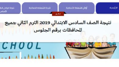 نتيجة الصف السادس الابتدائي 2019