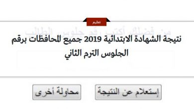 نتيجة الشهادة الابتدائية 2019 جميع المحافظات