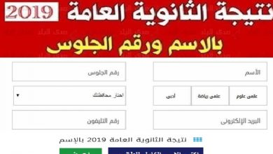 رابط اليوم السابع المباشر .. نتيجة الثانوية العامة ٢٠١٩