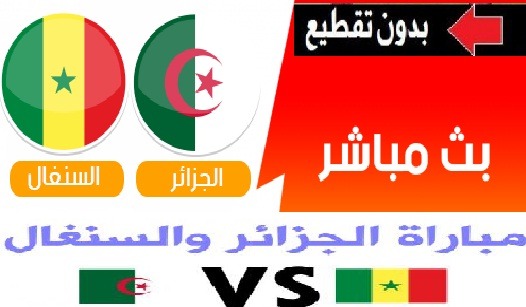 يلا شوت Final مشاهدة مباراة الجزائر والسنغال بث مباشر