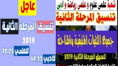 تنسيق المرحلة الثانية 2019 عبر رابط tansik | بوابة الحكومة المصرية