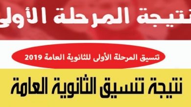نتيجة تنسيق المرحلة الاولى للثانوية العامة 2019 رابط بوابة الحكومة المصرية للتنسيق