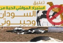 خطر أستيراد الماشية الحية من السودان