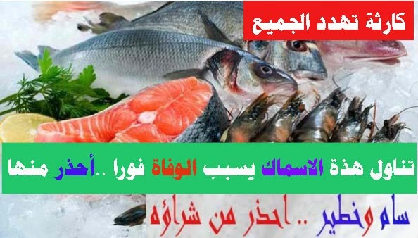 9 أنواع من الأسماك تسبب الوفاة لا تتناولها
