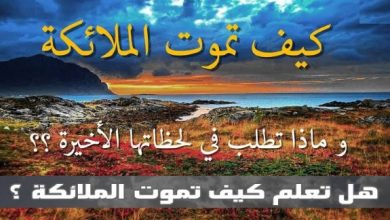 كيف تموت الملائكه