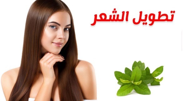استخدام الطرق الطبيعية لتطويل الشعر