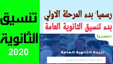 نتيجة تنسيق المرحلة الاولى للثانوية العامة 2020 رابط بوابة الحكومة المصرية للتنسيق