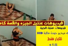 شاهد الفيديو الذي فضح عنتيل الجيزة وكان السبب الرئيسى في القبض علية