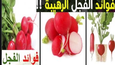 فوائد الفجل الأحمر الرهيبة للجسم وأهمها الأمعاء