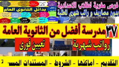 مدارس بديل الثانوية العامة 37 مدارس بديلة عن الثانوى العام