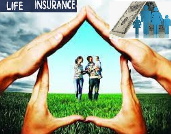 التأمينات الادخارية تعرف على أنواع التغطيات التأمينية على الحياة مستقبل جديد