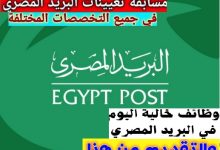 ما هي خطوات التقديم في مسابقة البريد المصري وما هي شروطها بالتفصيل؟