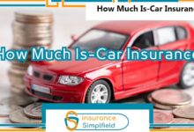 How Much Is-Car Insurance